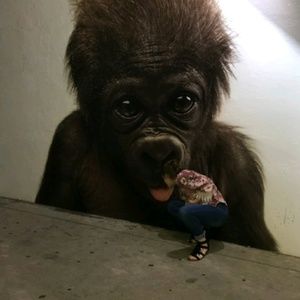 Meet your Posher, Theresa